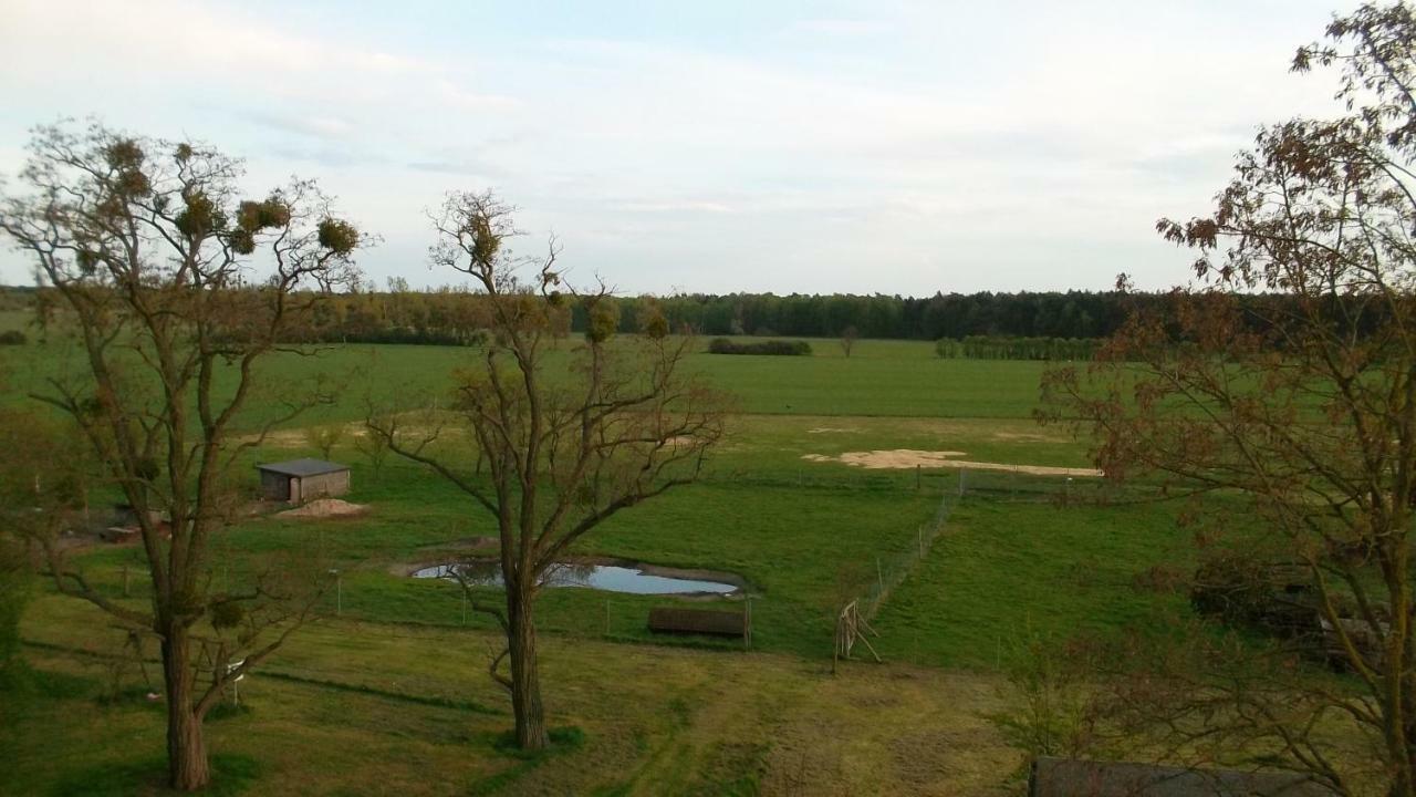 Отель Domaene-Badetz Экстерьер фото